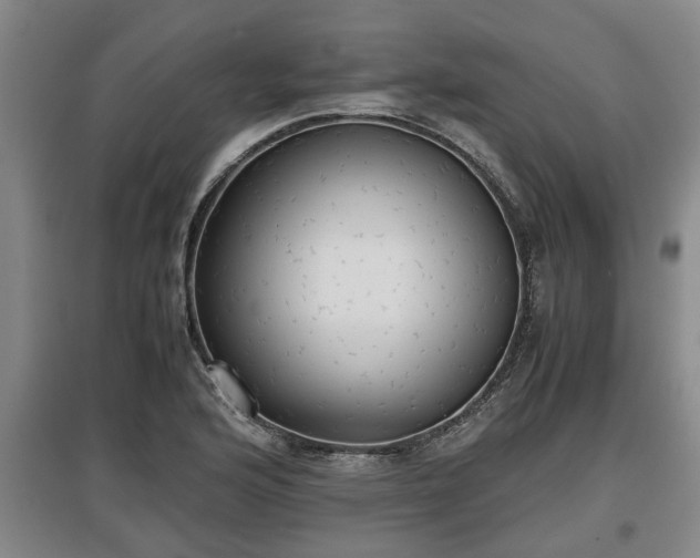 X0000097481176200802291351