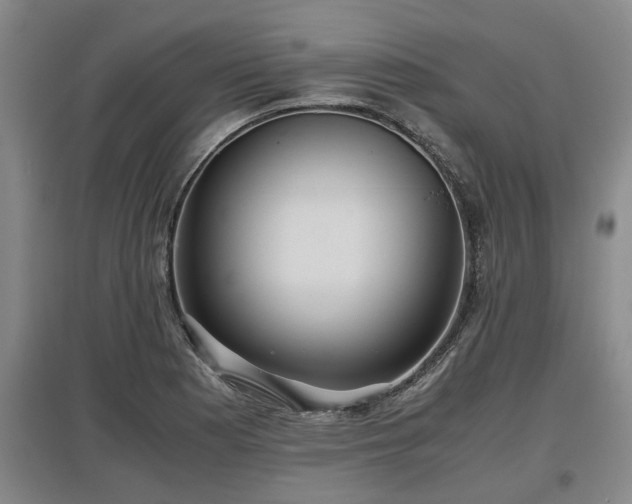 X0000097481177200802291351