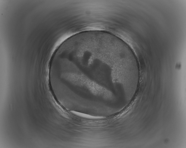 X0000097481179200802291351