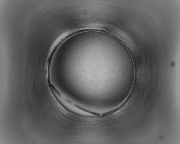 X0000097481180200802291351