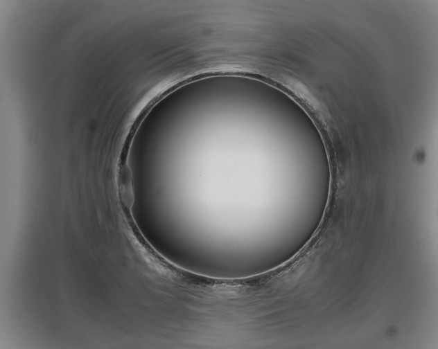 X0000097481181200802291351