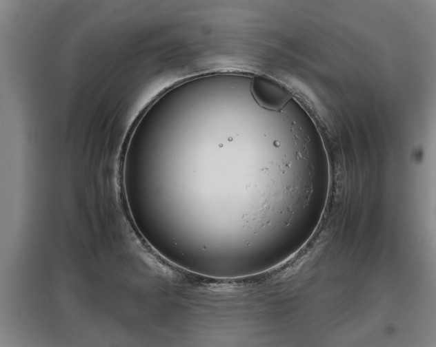 X0000097481182200802291351