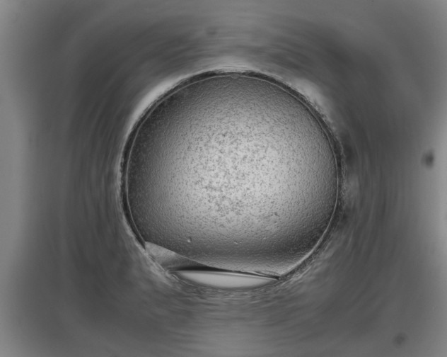 X0000097481183200802291351