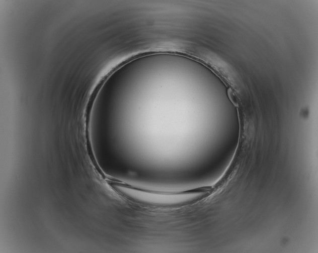 X0000097481184200802291351