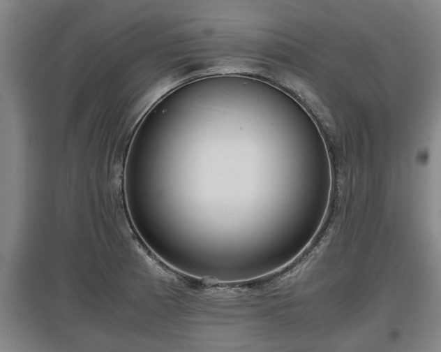 X0000097481185200802291351