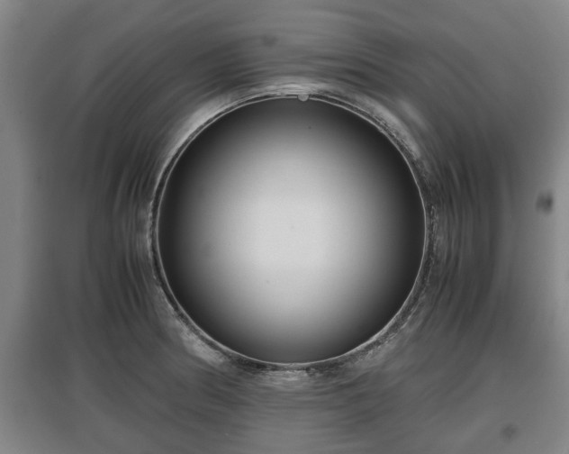 X0000097481186200802291351