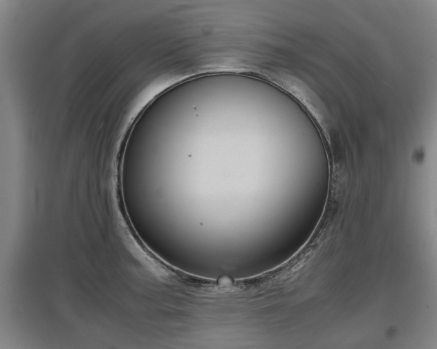 X0000097481187200802291351