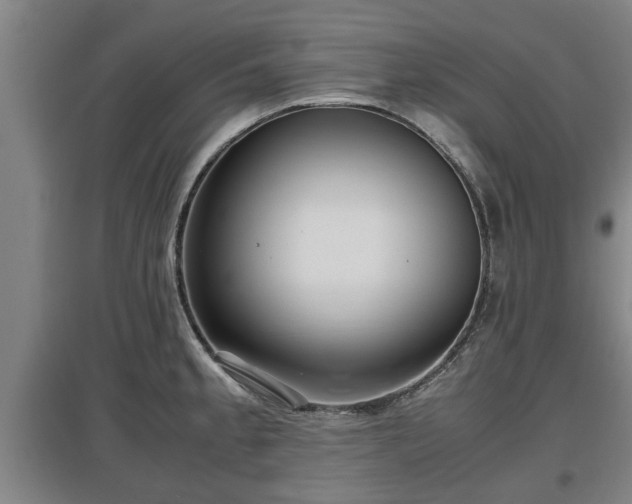 X0000097481189200802291351