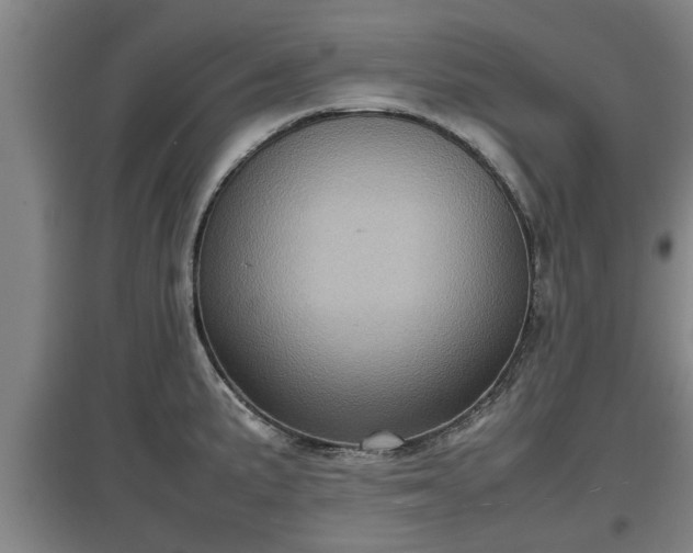 X0000097481191200802291351