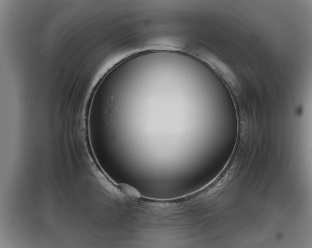 X0000097481192200802291351