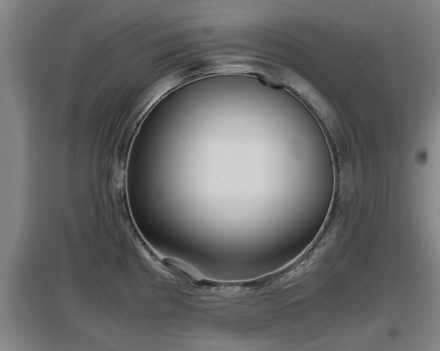 X0000097481193200802291351