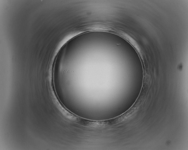 X0000097481195200802291351