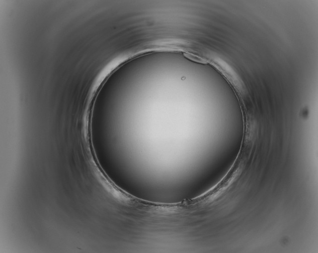 X0000097481196200802291351