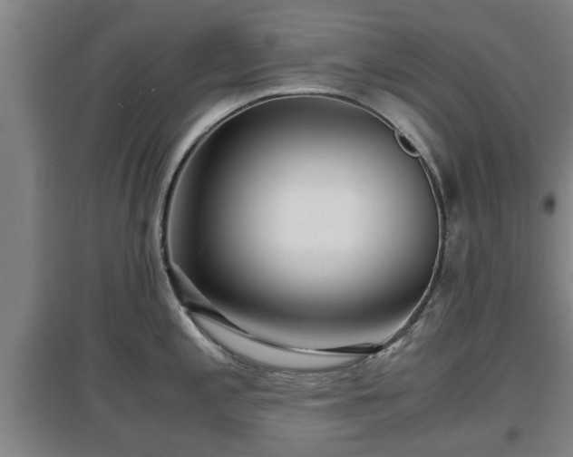 X0000097481197200802291351