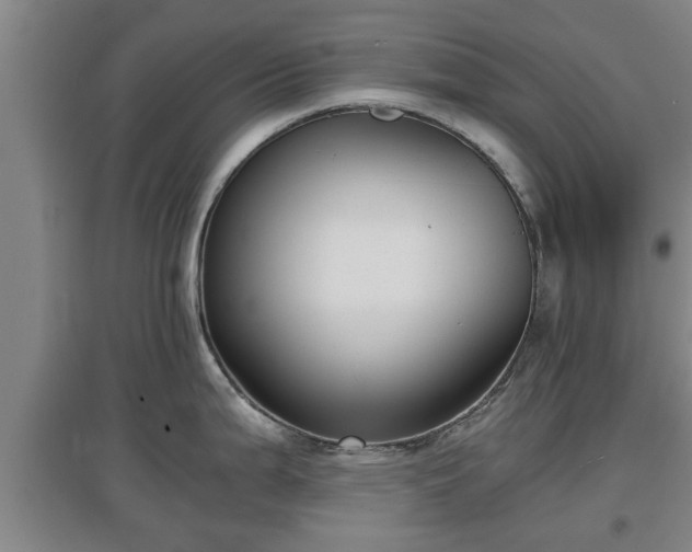 X0000097481199200802291351
