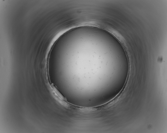 X0000097481200200802291351