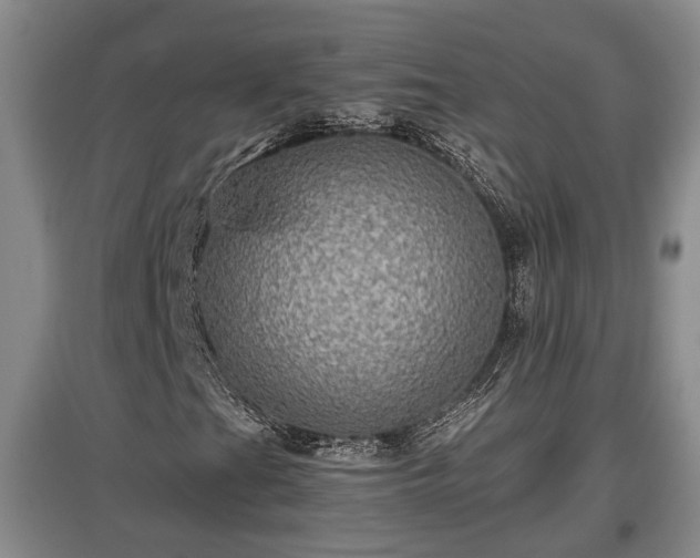 X0000097481201200802291350