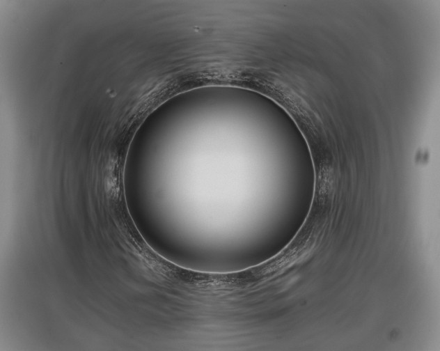 X0000097481202200802291350