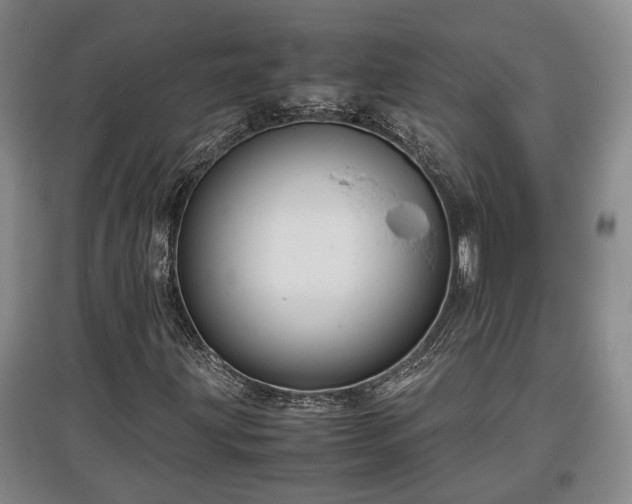 X0000097481203200802291350