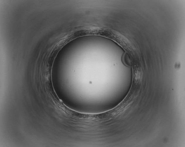 X0000097481204200802291350