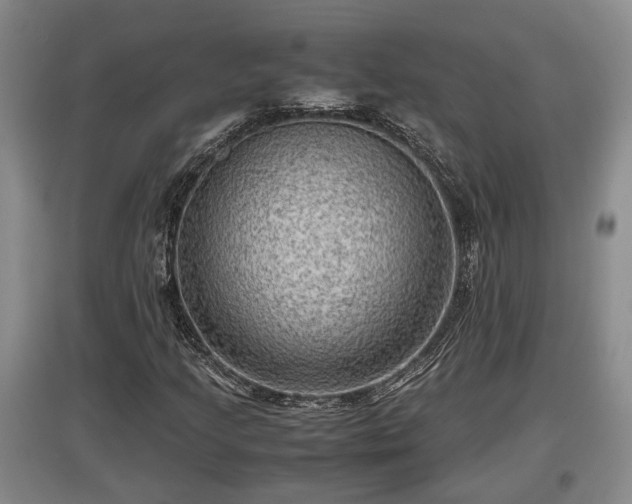 X0000097481205200802291350