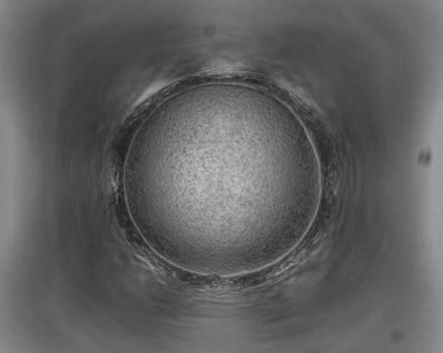 X0000097481206200802291350