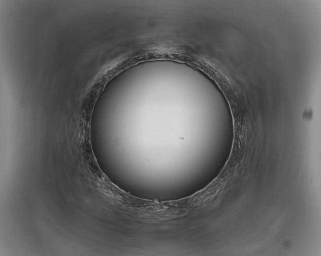 X0000097481207200802291350