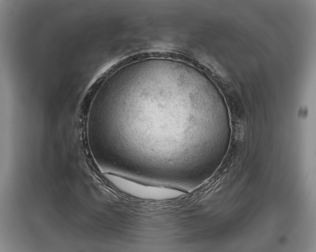 X0000097481208200802291350