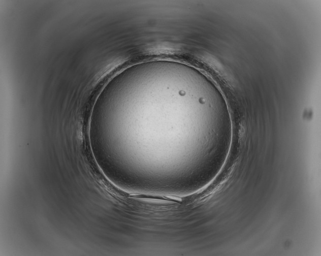 X0000097481209200802291350