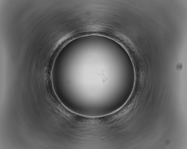 X0000097481210200802291350