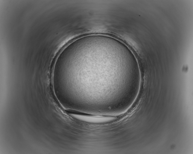 X0000097481212200802291350