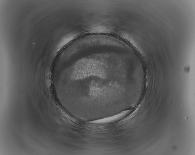 X0000097481213200802291350