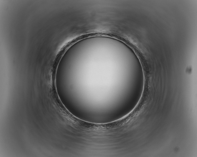 X0000097481214200802291350