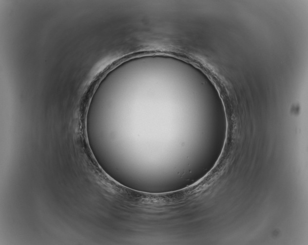 X0000097481215200802291350