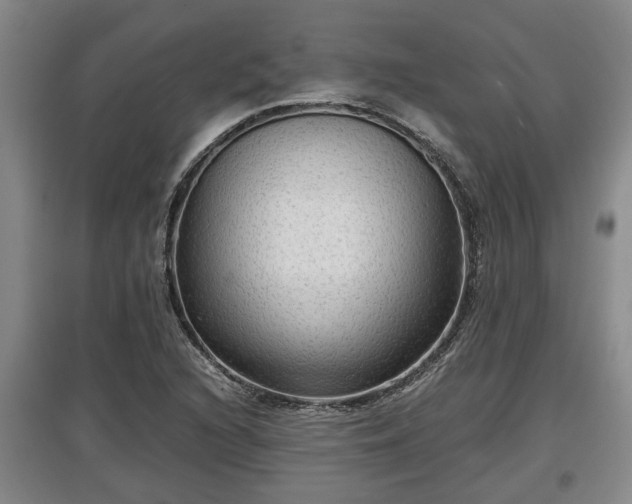 X0000097481216200802291350