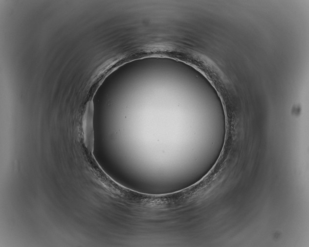 X0000097481217200802291350