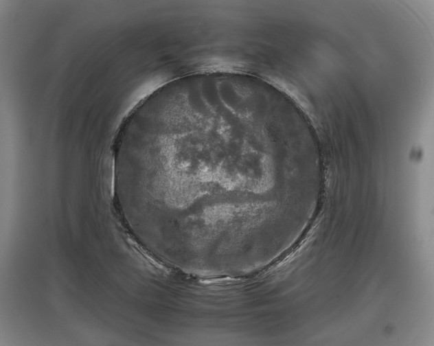X0000097481219200802291351