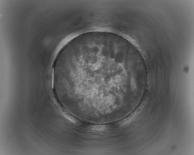 X0000097481223200802291351