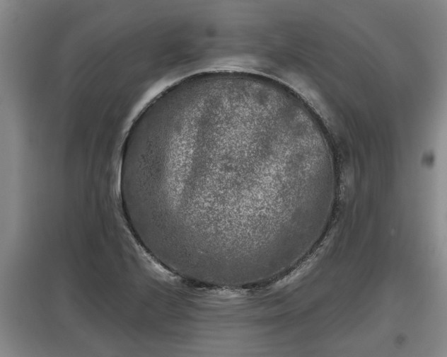 X0000097481224200802291351