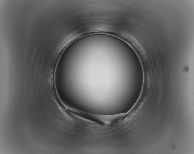 X0000097481225200802291351