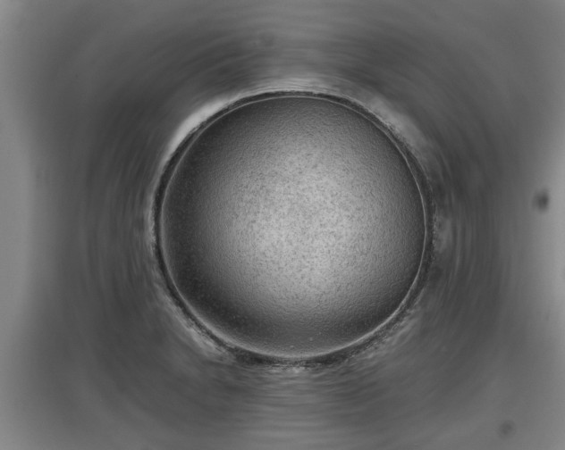 X0000097481230200802291351