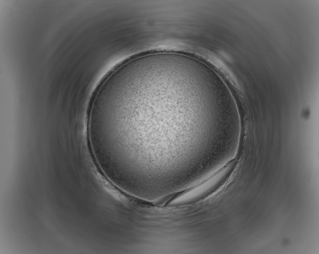 X0000097481232200802291351