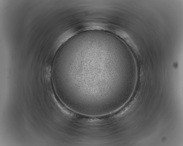 X0000097481233200802291351