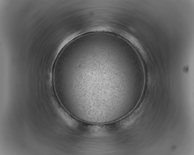 X0000097481234200802291351