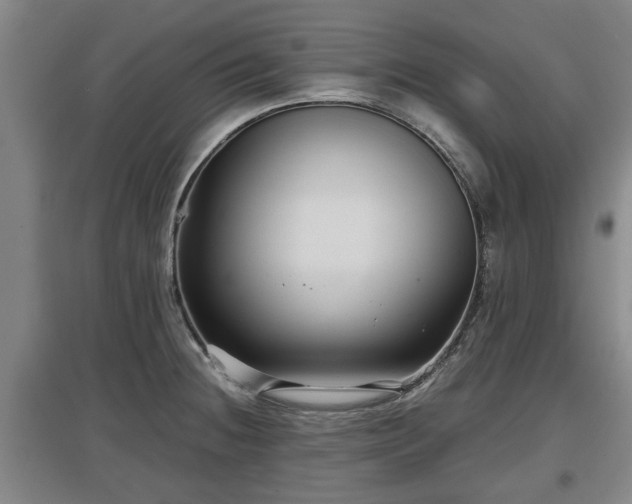 X0000097481236200802291351