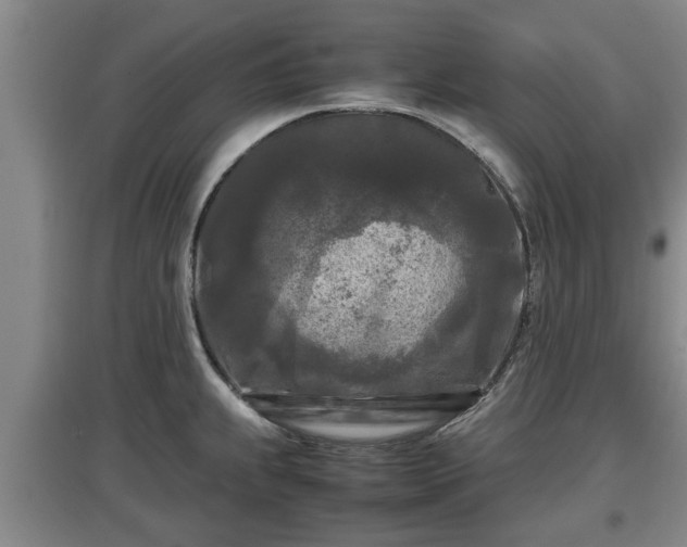X0000097481239200802291351