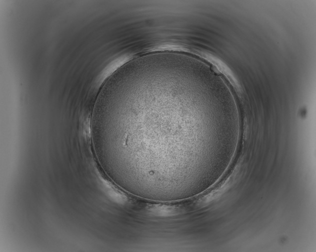 X0000097481241200802291351