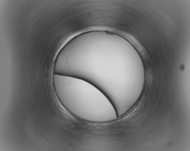 X0000097481244200802291351