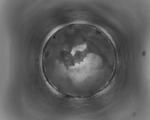 X0000097481245200802291351