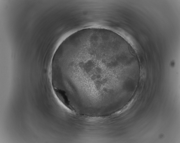 X0000097481247200802291351